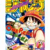 ONE PIECE THE TREASURE 10TH ANNIVERSARY BOOK EIICHIRO ODA JAPAN RARE FROM JAPAN