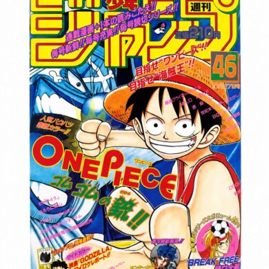 ONE PIECE THE TREASURE 10TH ANNIVERSARY BOOK EIICHIRO ODA JAPAN RARE FROM JAPAN